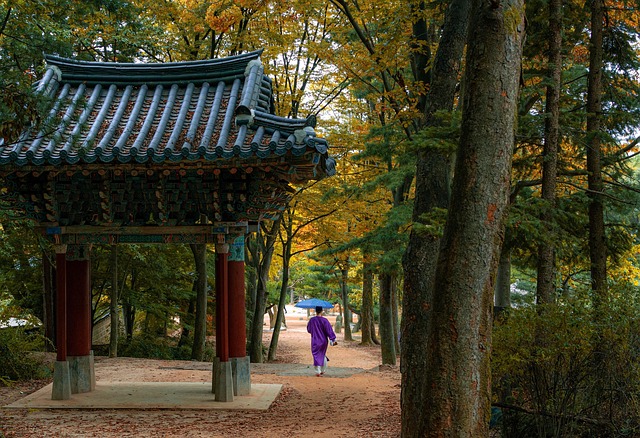 Book flights to Seoul, South Korea