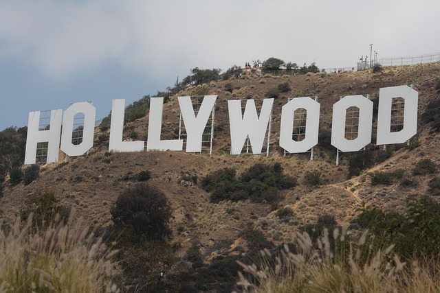 Book flights to Los Angeles, USA