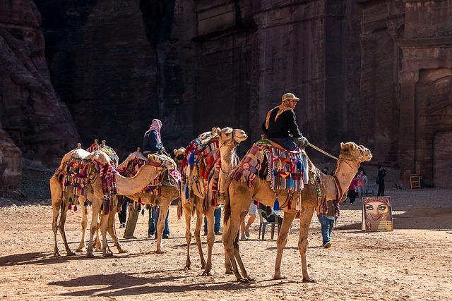 Book flights to Jordan